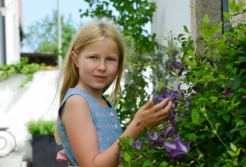 Bio-Dirndl FRANZISKA in Hellblau